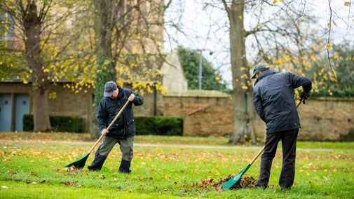 Volunteers raking leaves on the south lawn